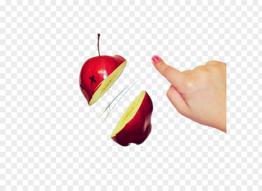 Cut Apple Creativity Illustrator Drawing Work Of Art Illustration PNG