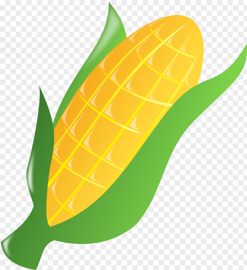 Ear Corn On The Cob Maize Clip Art PNG