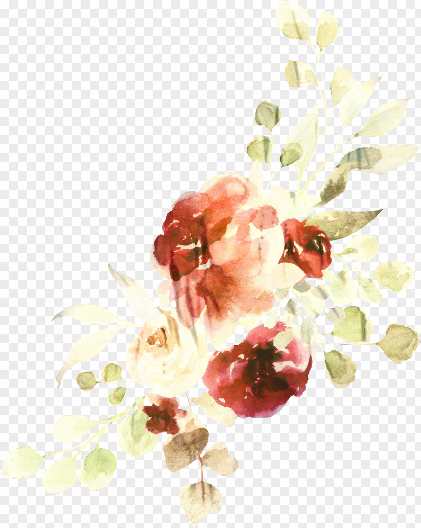Plant Flower Watercolor Background PNG