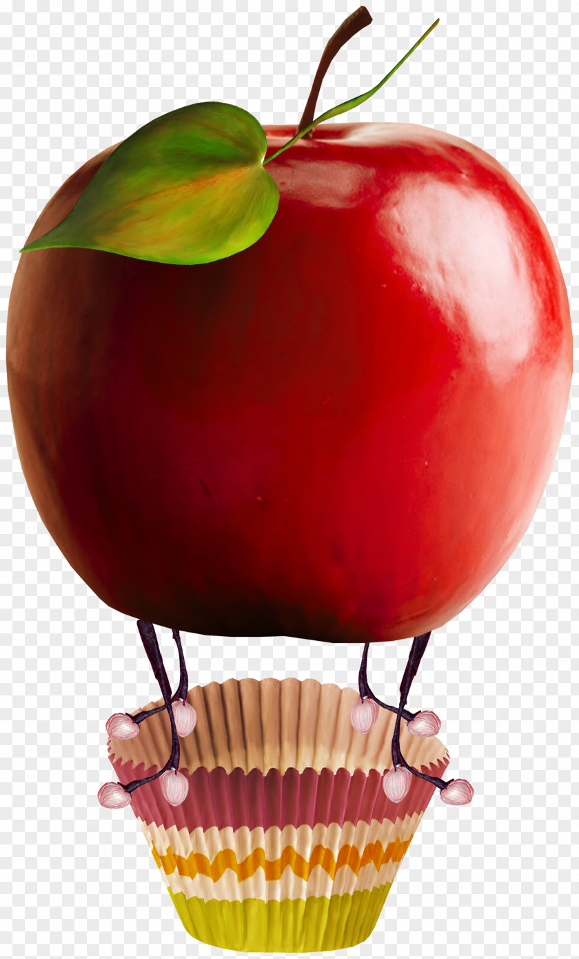 Apple Food Fruit Clip Art PNG