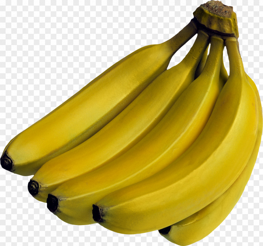 Banana IPhone SE Bananaphone Industry Fruit PNG