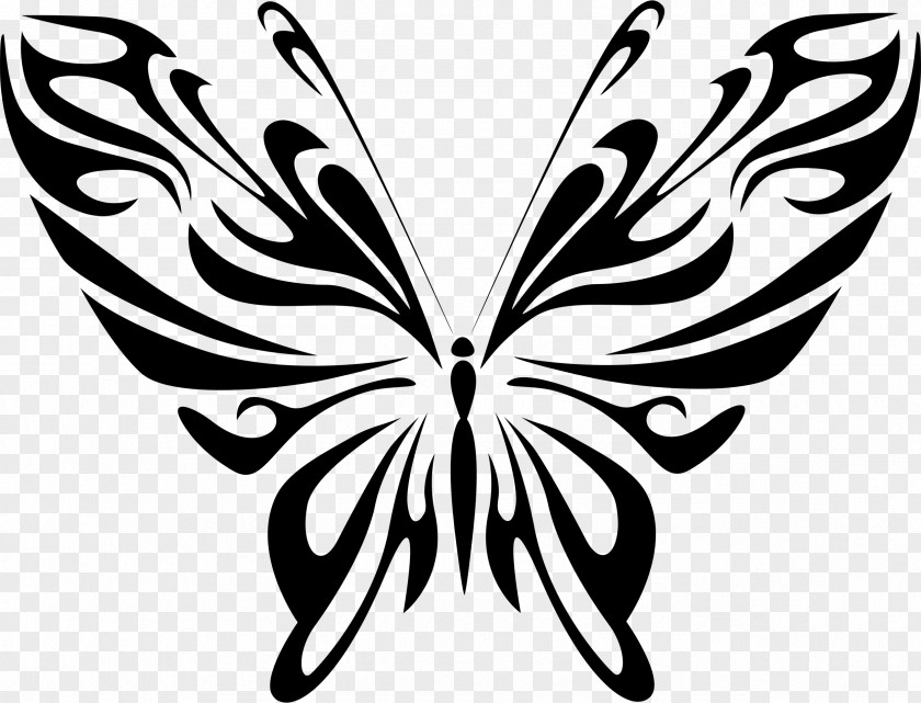 Butterflay Butterfly Line Art Drawing Clip PNG