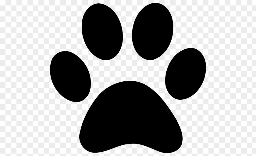 Cat Aldie Veterinary Hospital Paw Dog Clip Art PNG