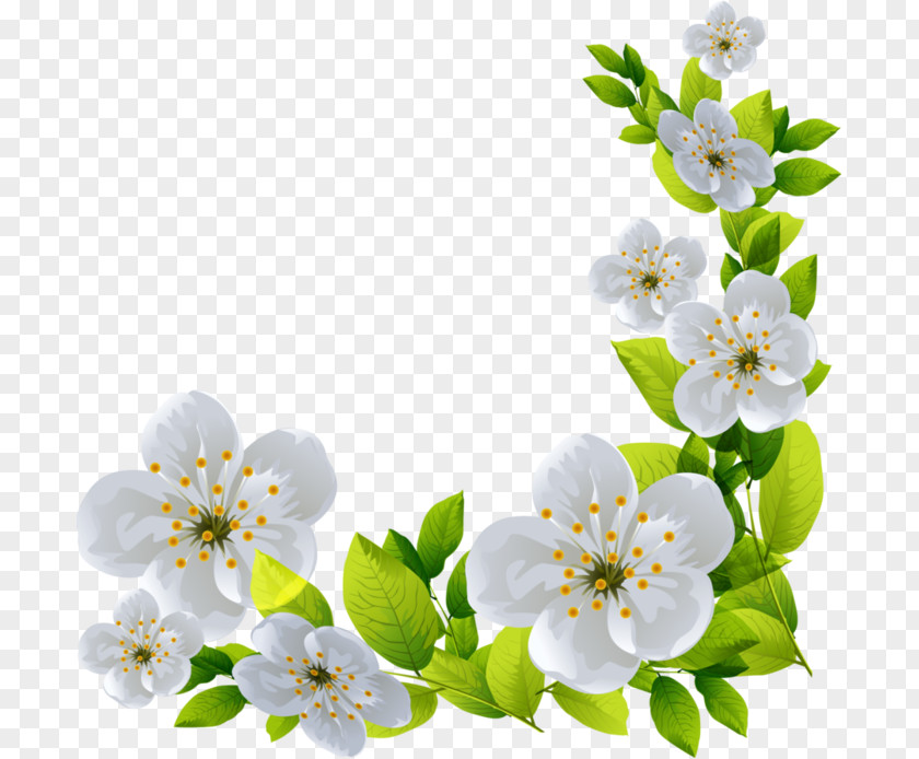 Flower Clip Art PNG