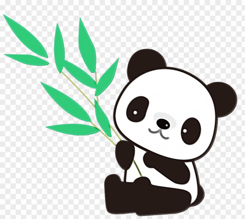 Giant Panda Red Bear Drawing PNG