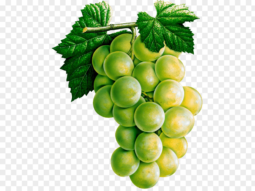 Grape Image Download Picture White Wine Common Vine Juice PNG