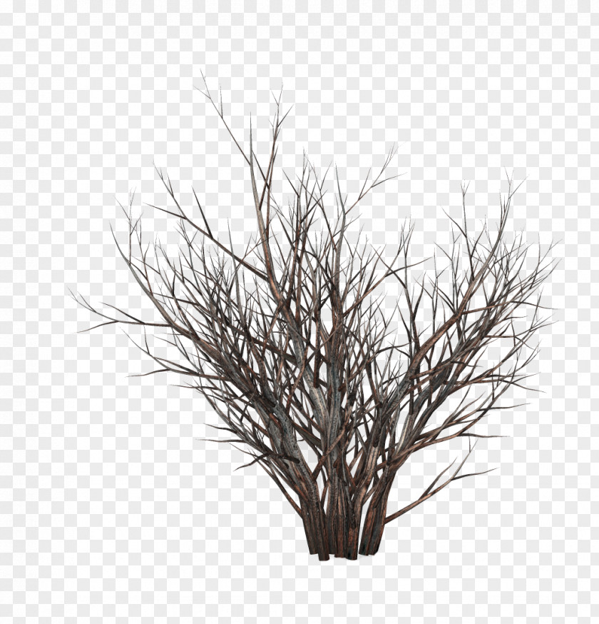 Hand-painted Snow Tree Stock Photography Royalty-free Rendering PNG