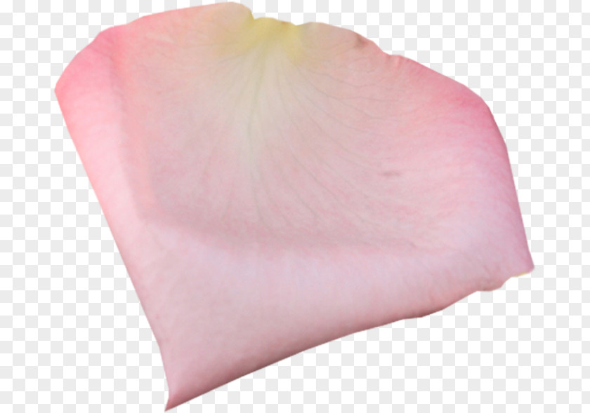 лепестки роз Petal Pink Garden Roses Clip Art PNG