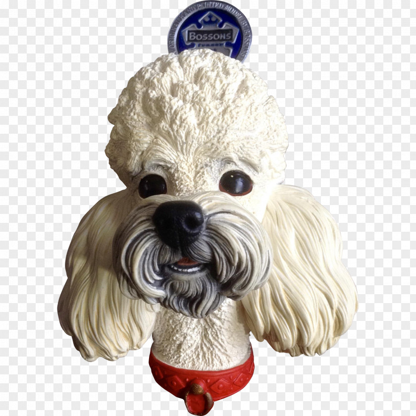 Poodle Schnoodle Cockapoo Dandie Dinmont Terrier Havanese Dog PNG