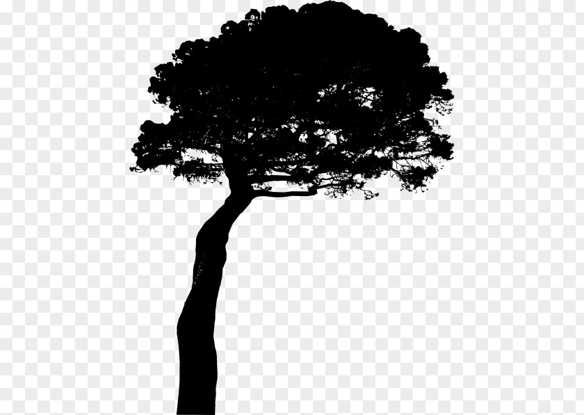 Tree Stone Pine Clip Art PNG