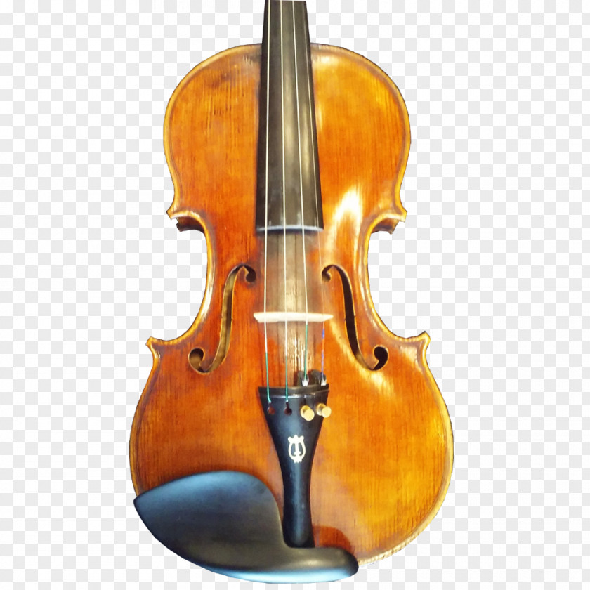 Violin Bass Violone Viola Cello PNG
