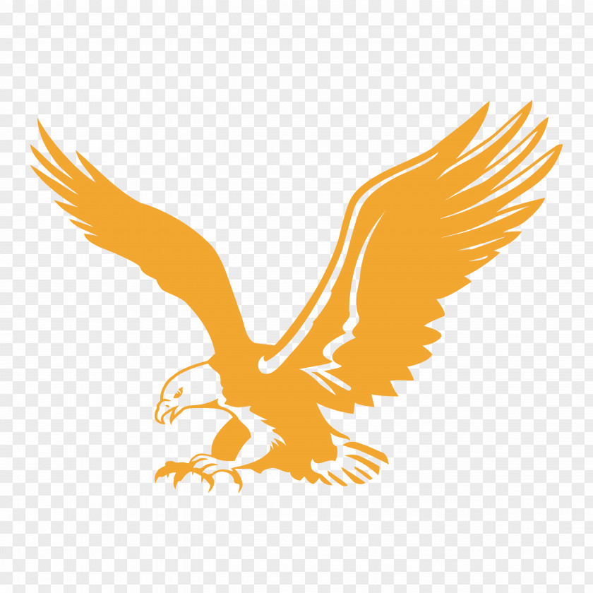 American Flyer Flyers Bald Eagle Spartan College Of Aeronautics And Technology Organization Aviation PNG