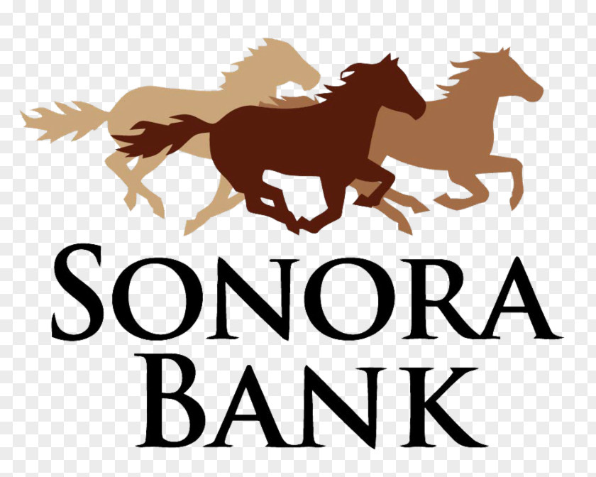 Bank The First National Of Sonora Loan Officer PNG