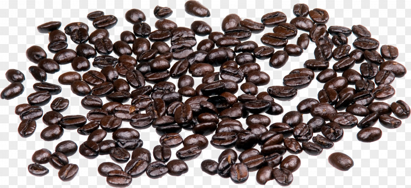 Coffee Beans Image Jamaican Blue Mountain Bean Arabica PNG