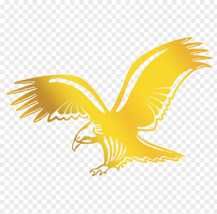 Eagle Wing Yellow Golden Bird PNG