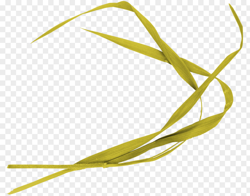 Leaves Clipart Leaf Commodity Product Design Plant Stem Line PNG