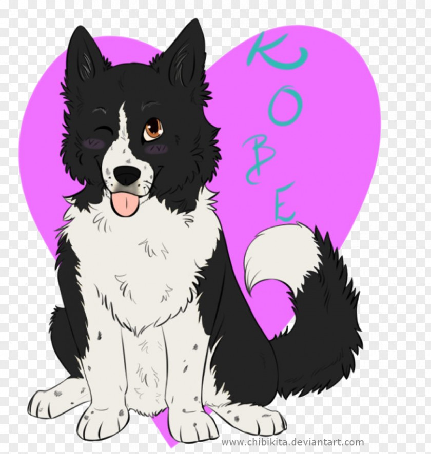 Puppy Dog Breed Border Collie Rough Whiskers PNG