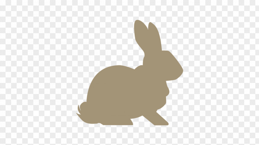 Rabbit Domestic Hare Mini Rex Clip Art PNG