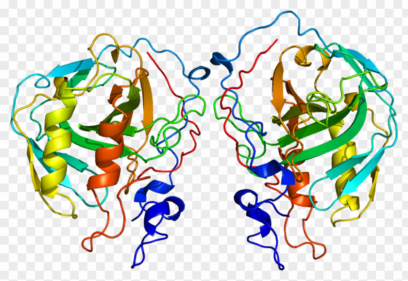 Carbonic Anhydrase 4 II Acid 9 PNG