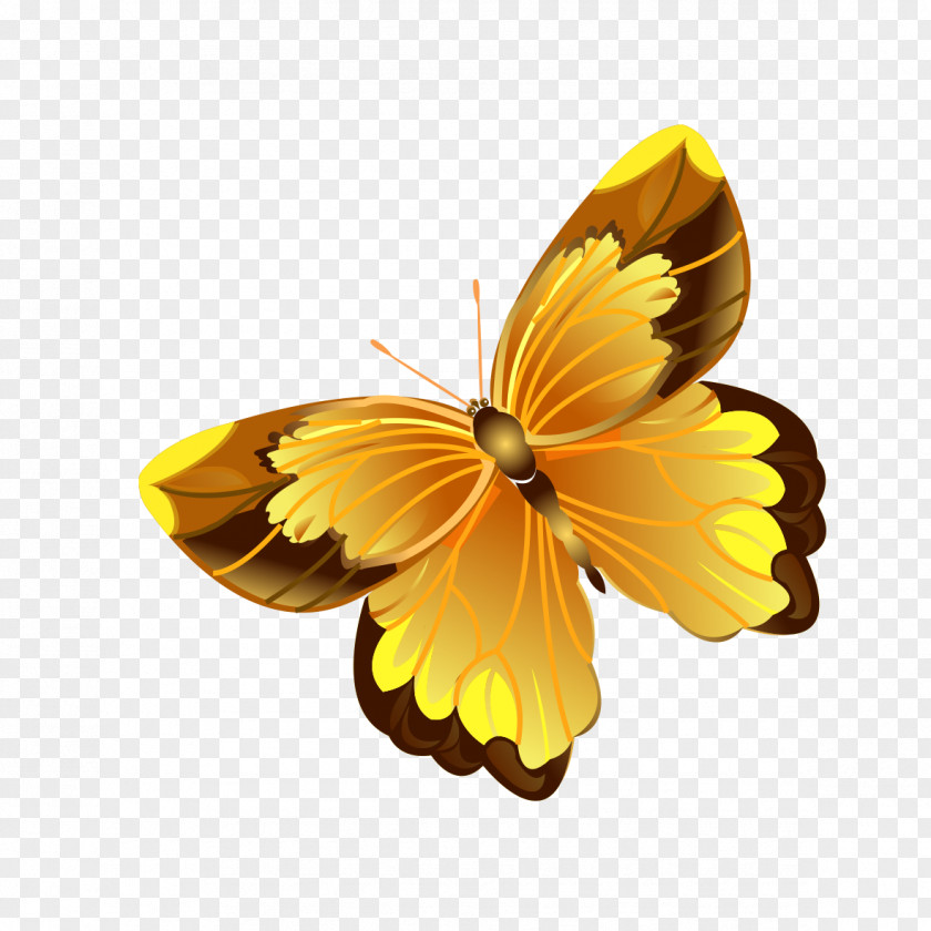 Cartoon Yellow Butterfly Software Wallpaper PNG