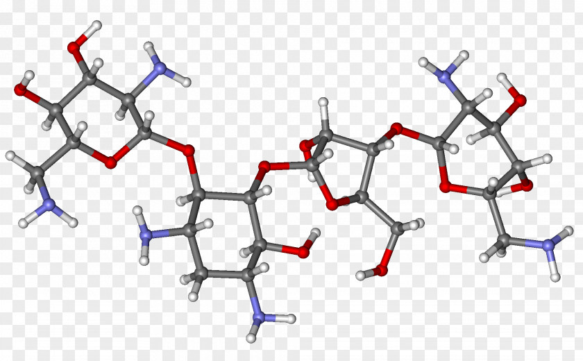 Neomycin Ball-and-stick Model Gentamicin Tobramycin Antibiotics PNG