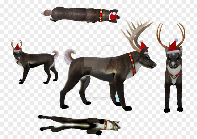 Reindeer Wildlife PNG