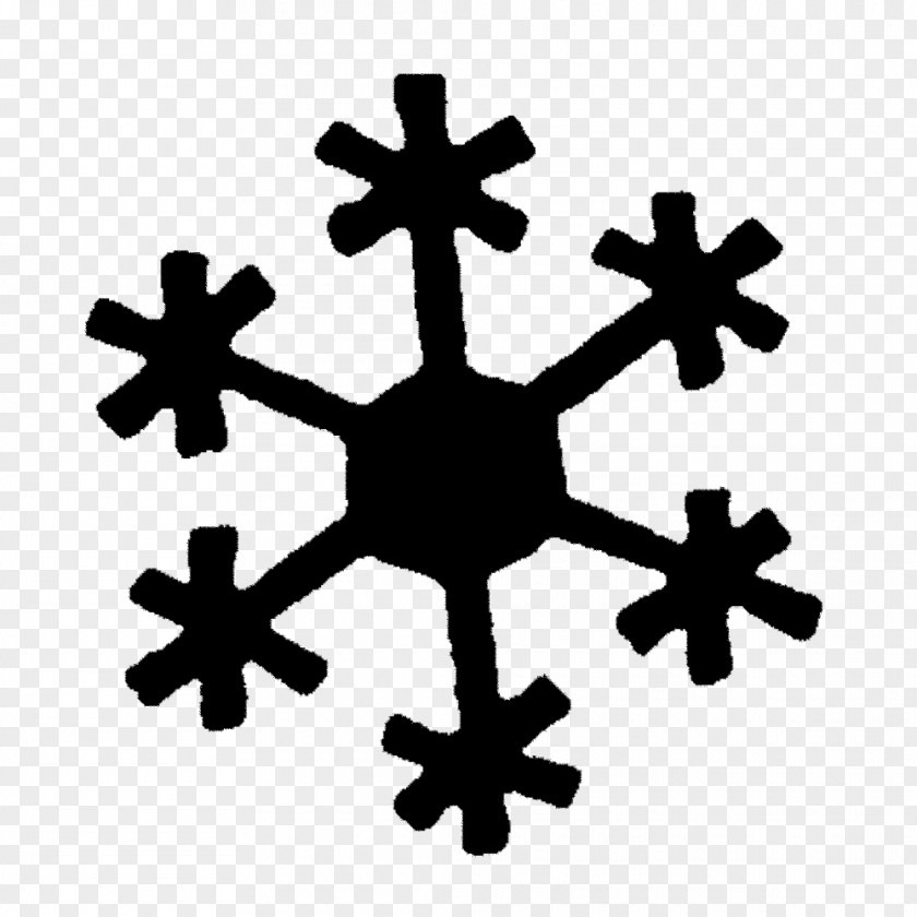 Snowflake Meteorology Weather Cold PNG