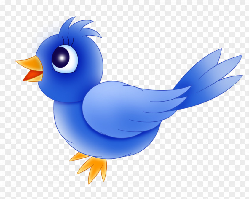 Bird Cartoon Clip Art PNG