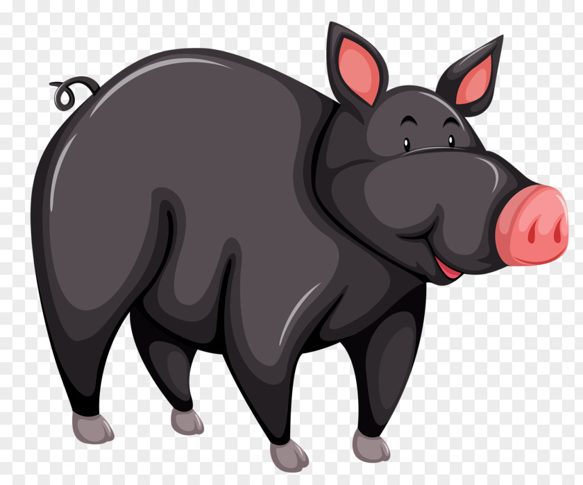 Cartoon Wild Boar Large Black Pig Iberian PNG