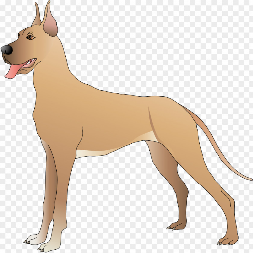 Dogs Dog Animal Clip Art PNG