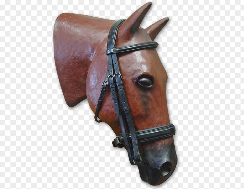 Horse Double Bridle Rein Noseband PNG