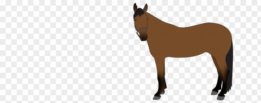 Horse Tack Mule Foal Stallion Colt Mare PNG