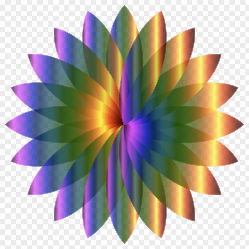 Lotus Color Art Drawing PNG