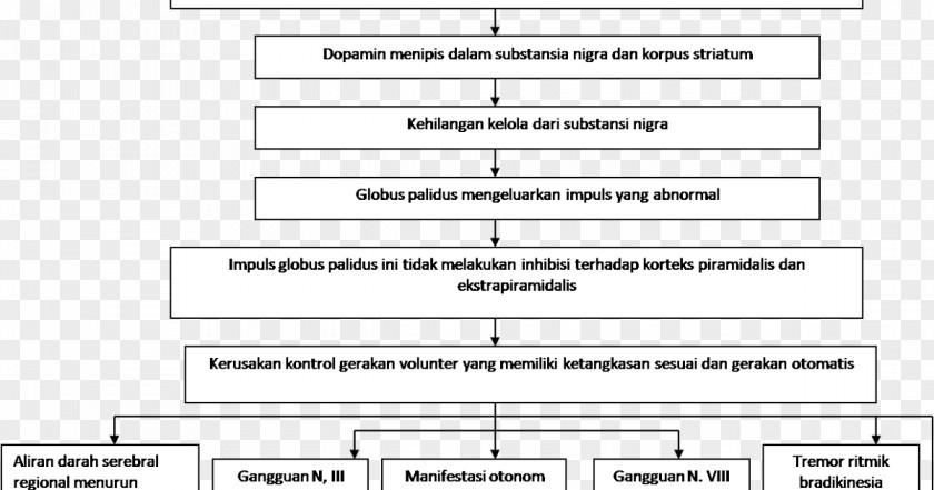 Pathway Paper Rectangle Document PNG