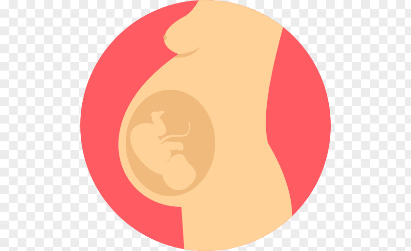 Pregnancy Medicine Health Gynecologist Childbirth PNG