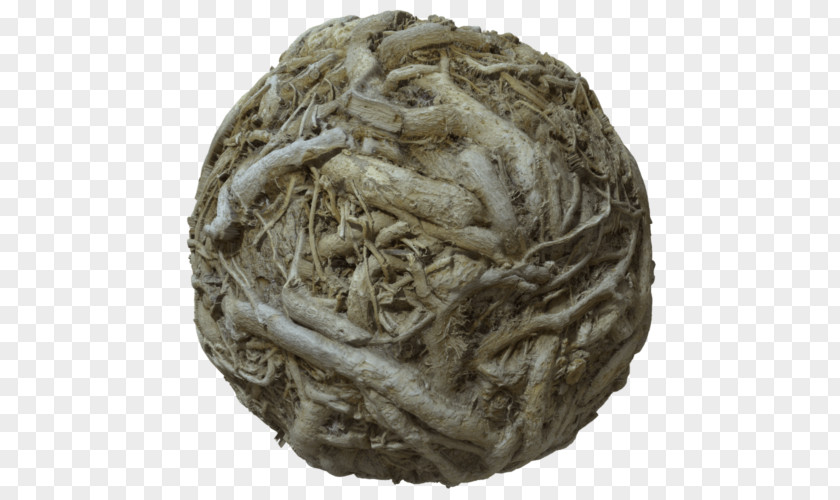 Tree Soil Online Shopping Wood PNG