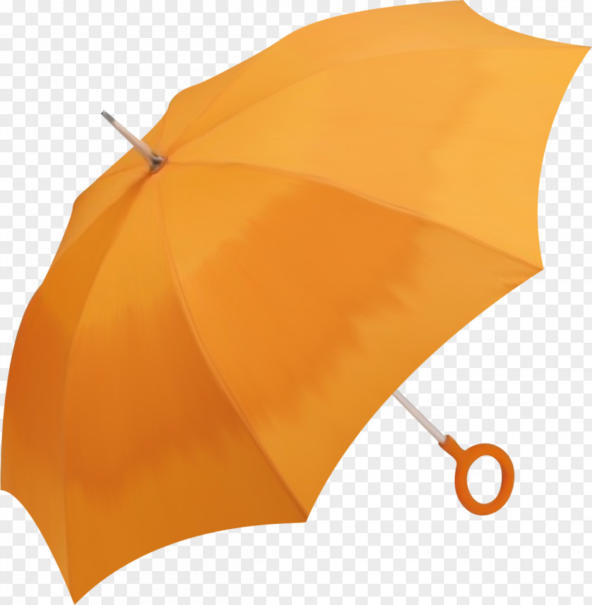 Umbrella Bumbershoot Clip Art PNG