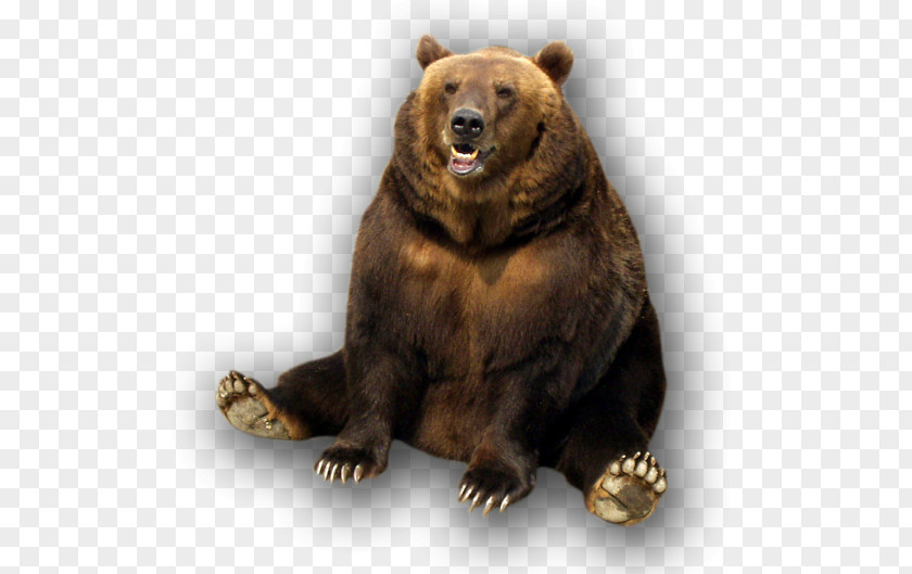 Bear Market Trend Stock PNG