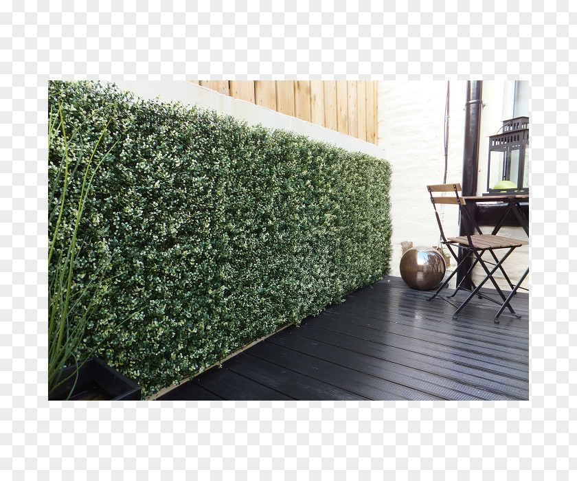 Box Hedge Fence Garden Wall PNG