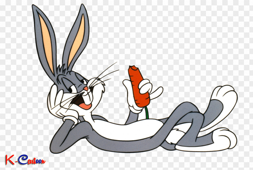 Bugs Bunny Daffy Duck Gossamer Tasmanian Devil Tweety PNG