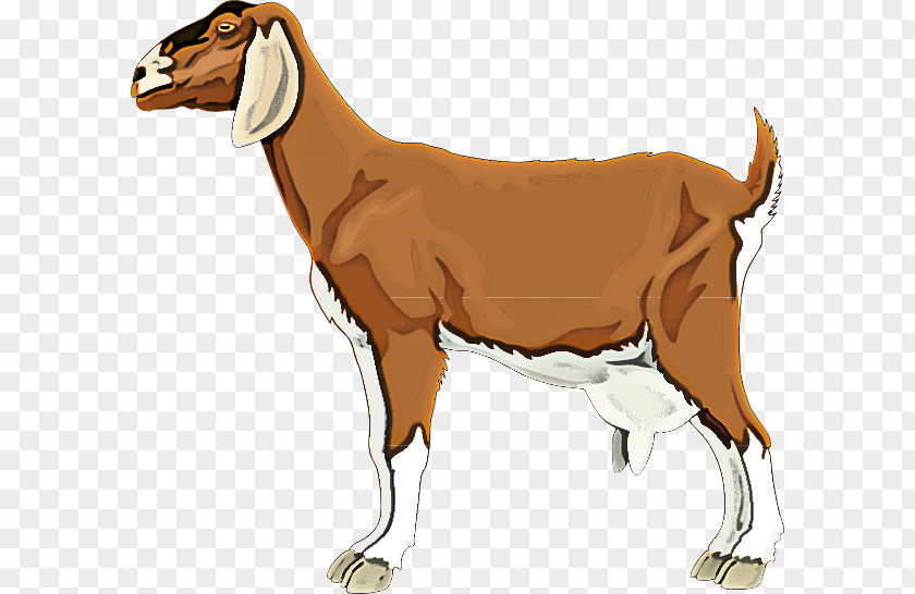 Cow-goat Family Goats Animal Figure Livestock Goat PNG