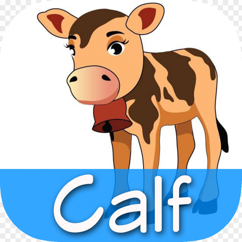 Horse Dairy Cattle Calf Flashcard PNG