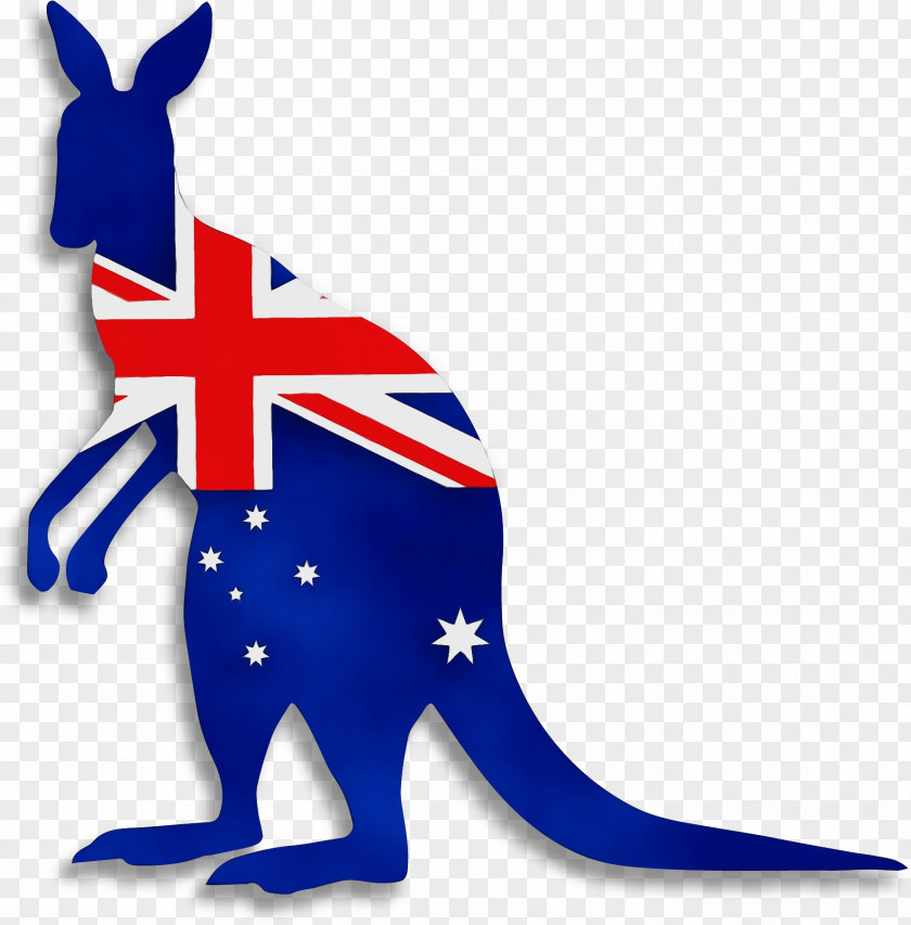 Australia Travel Visa Australian Permanent Resident Immigration Consultant PNG