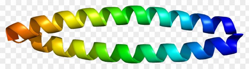 CD247 Gene Chromosome 1 T-cell Receptor Transcription PNG