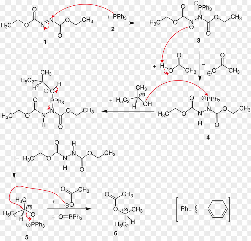 Common Berthing Mechanism Mitsunobu Reaction Chemical Chemistry Imide PNG