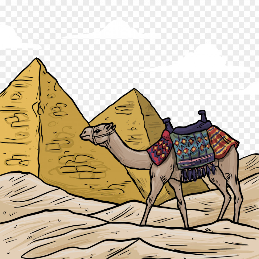Egyptian Pyramids And Camel Colored Vector Material Bactrian Ancient Egypt Drawing Illustration PNG