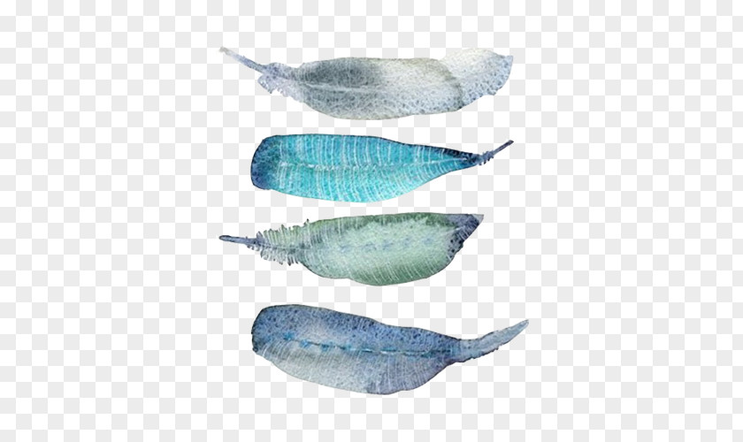 Feather Watercolor Picture Material Painting PNG