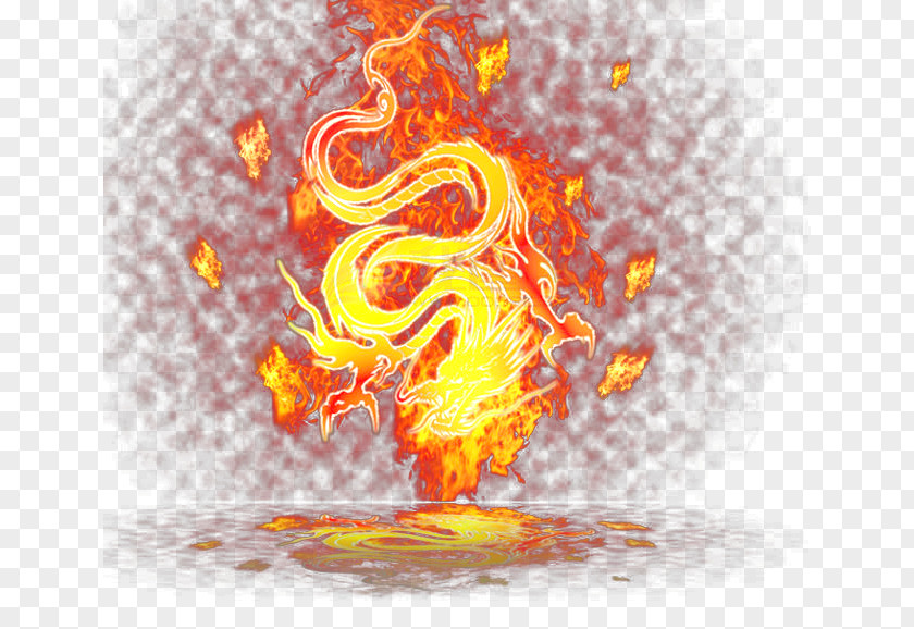 Fire Dragon Flame Wyvern Illustration PNG