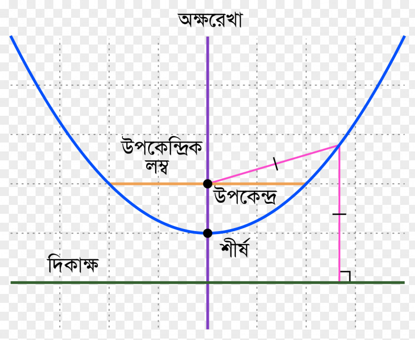Line Parabola Hyperbola Conic Section Ellipse PNG