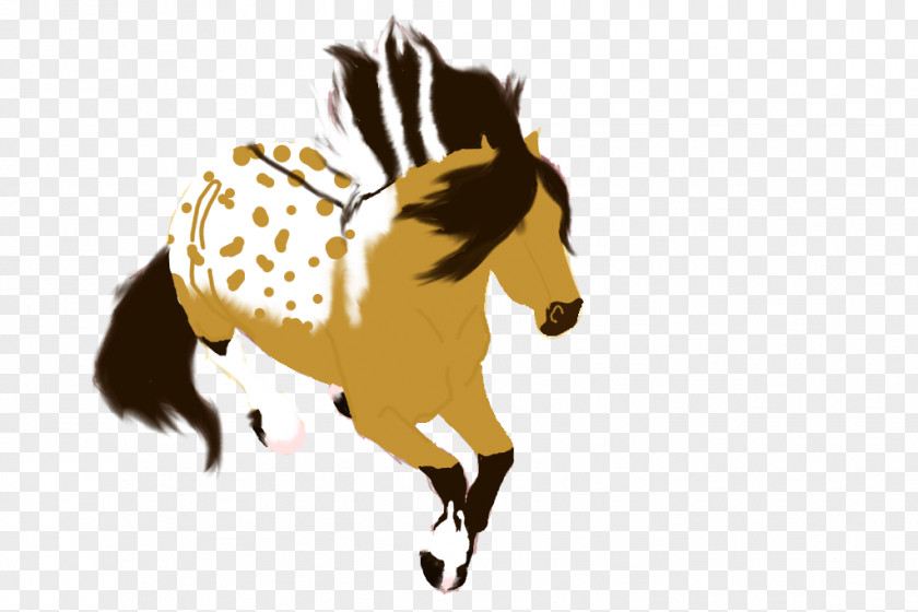 Mustang Mane Stallion Colt Pack Animal PNG